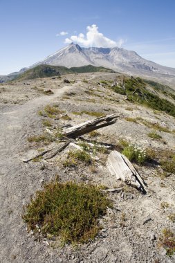 çiçekler içinde kül: rüzgarlı ridge, Aziz Helen Dağı