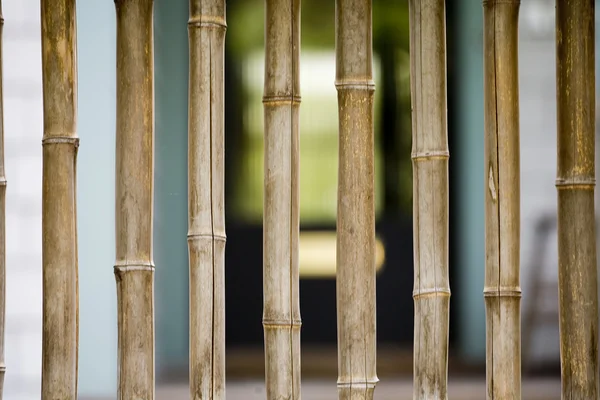 Tittar genom fönstret med bambu barer — Stockfoto