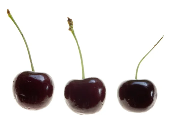 Three Cherries Isolated on White Background — Stock Photo, Image