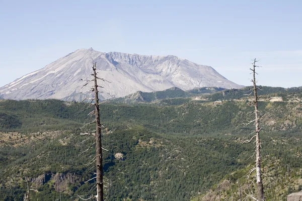 Rebirth of a Valley, near Mount St. Helens — Stock Photo, Image