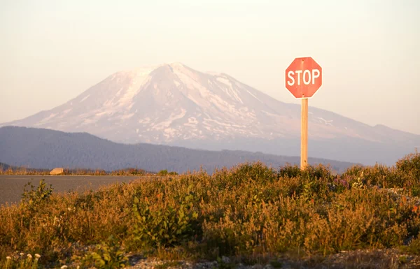 Stop Sign y Mount Adams — Foto de Stock