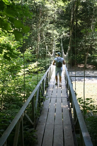 Fußbrücke, Hain der Patriarchen, Berg ra — Stockfoto