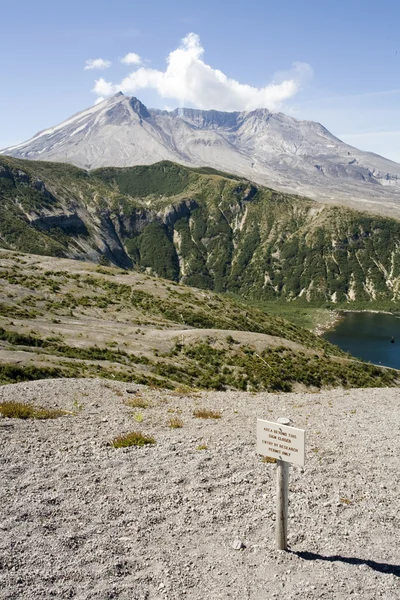 Windy Ridge, Monte St. Helens Monumento Nacional Fotos De Bancos De Imagens