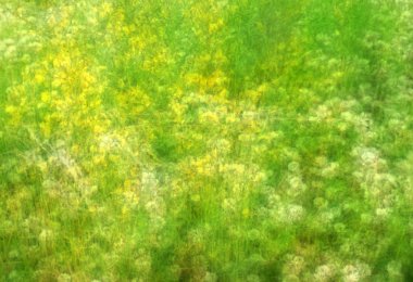 Impressionist Field with Wildflowers clipart