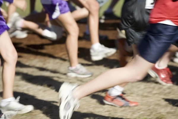 Archivbild eines Langlauf-Teamläufers — Stockfoto