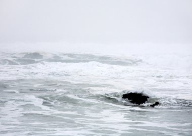 Pasifik Okyanusu soyut