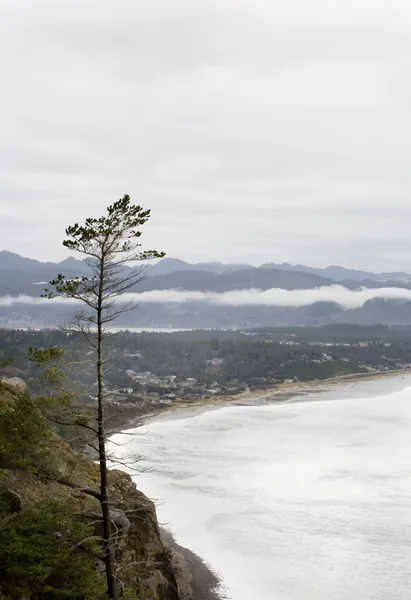 Oregon kust in de buurt van Californische berendruif — Stockfoto