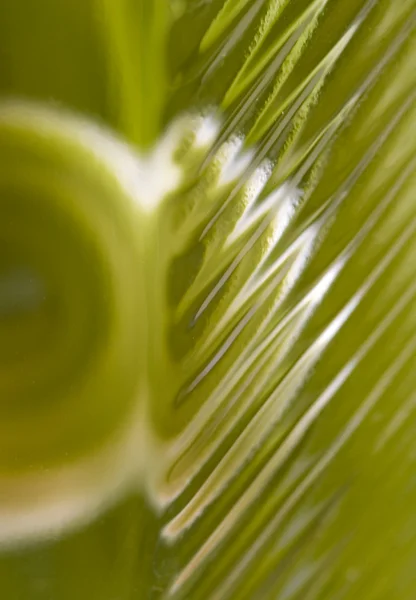 Abstrakt grönt glas — Stockfoto