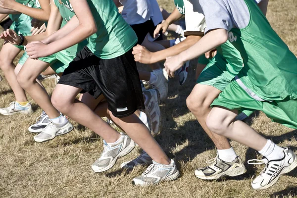 Cross Country Runners Leave the Starting Line — Stock Photo, Image