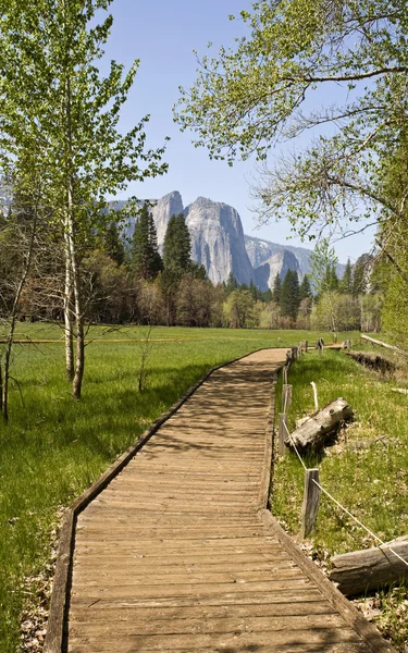 Caminho de madeira em Yosemite com rochas da catedral no fundo — Fotografia de Stock