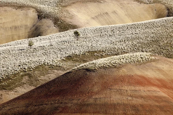 Detalhe, unidade pintada das colinas, monumento nacional do dia de John — Fotografia de Stock