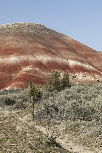 Detail, Painted Hills Unit, John Day National Monument — Stock Photo, Image
