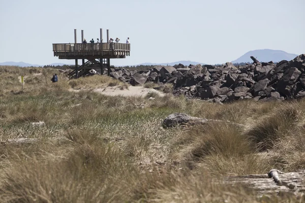 Viewing Platform at the South Jetty — Stock Photo, Image