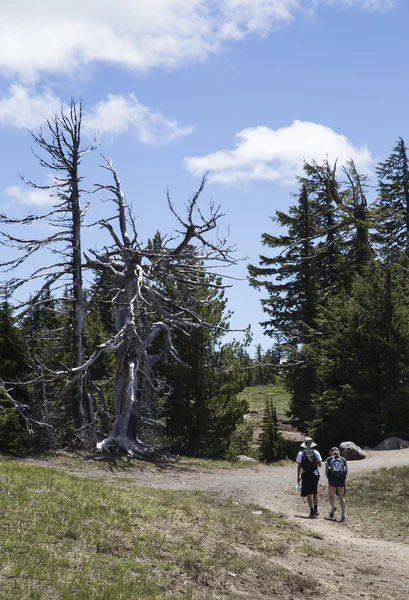 Two Hikers along the Rim of Crater Lake — Stock Photo, Image