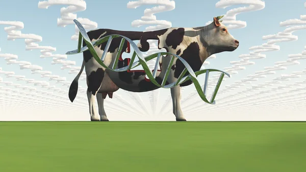 Koe en vragen wolken GGO — Stockfoto
