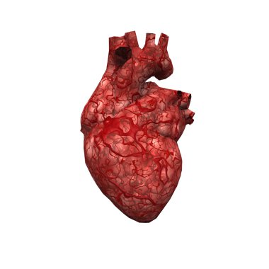Human Heart clipart