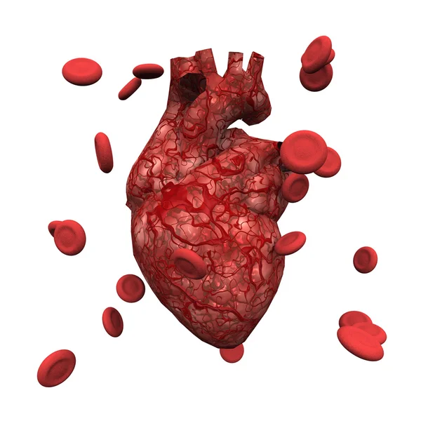 Corazón humano y células sanguíneas —  Fotos de Stock