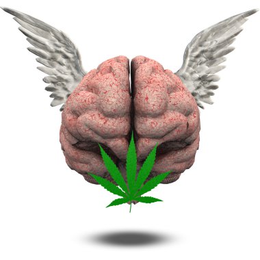 marihuana yaprağı ile kanatlı beyin