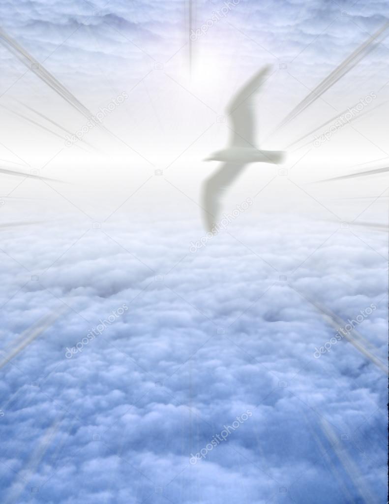 Bird in serene cloudscape
