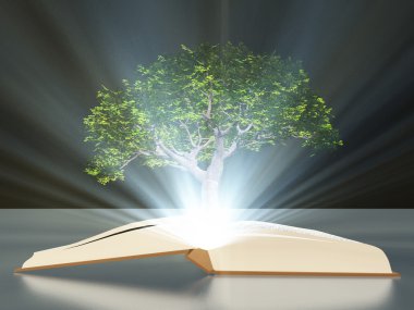 kitap ağacı