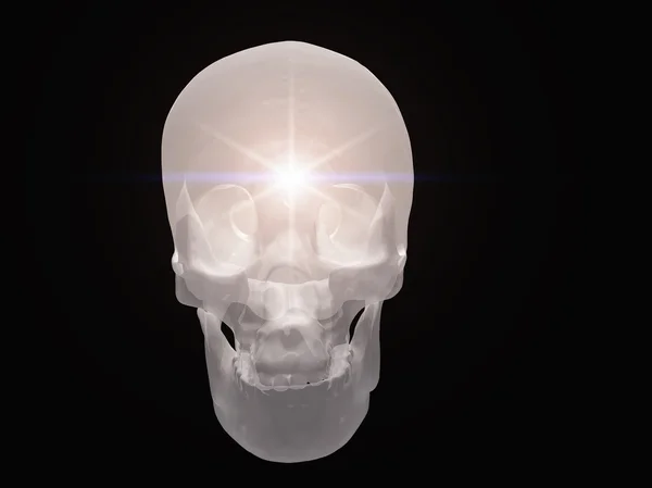 La luz irradia desde el cráneo semitransparente —  Fotos de Stock