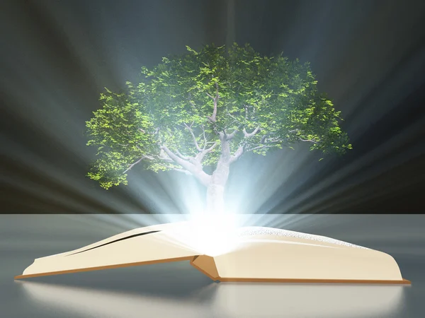 Libro con árbol — Foto de Stock