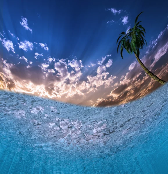Tropiska vatten — Stockfoto