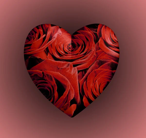 Сердце красных роз — стоковое фото