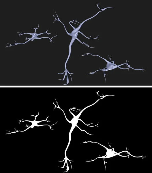 簡単な抽出のためのアルファ マスクと神経細胞 — ストック写真