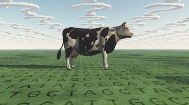 Cow and questions clouds GMO clipart