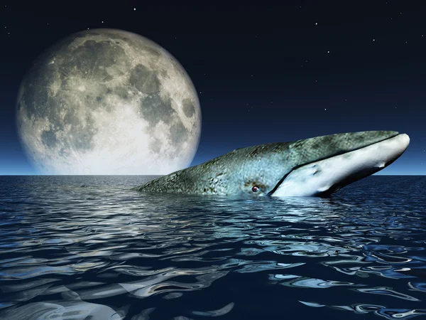 Baleia na superfície dos oceanos com lua cheia — Fotografia de Stock