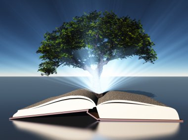 kitap ağacı