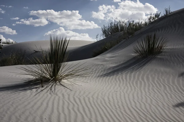 Kolorowe pustyni — Zdjęcie stockowe