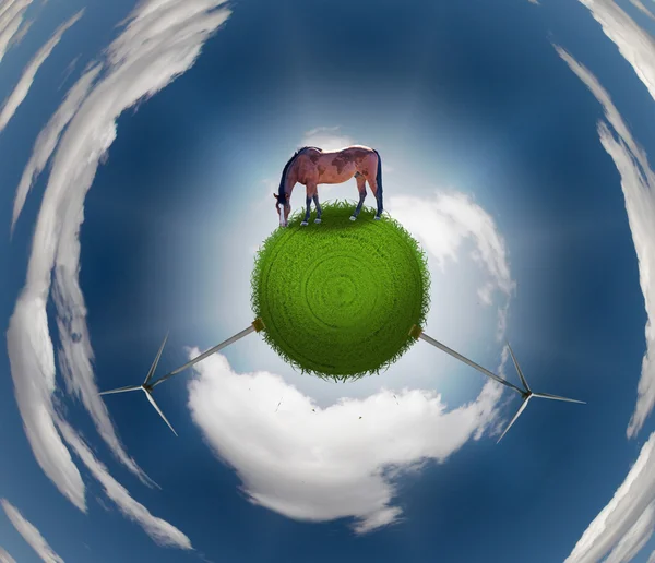 Horse on Grassy Sphere — Stock Photo, Image