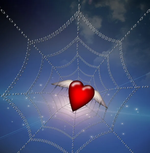 Coeur dans le Web binaire — Photo