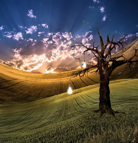 Albero della Luce — Foto Stock