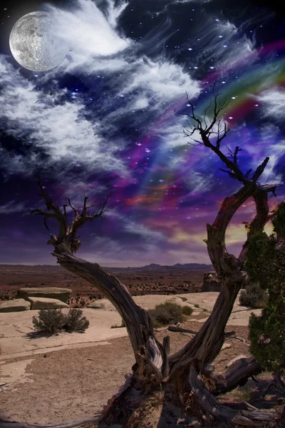 Crepúsculo do deserto — Fotografia de Stock