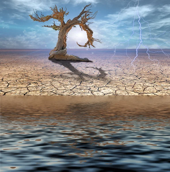 Desert Deluge — Stock Photo, Image