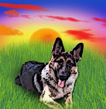 alman shepard