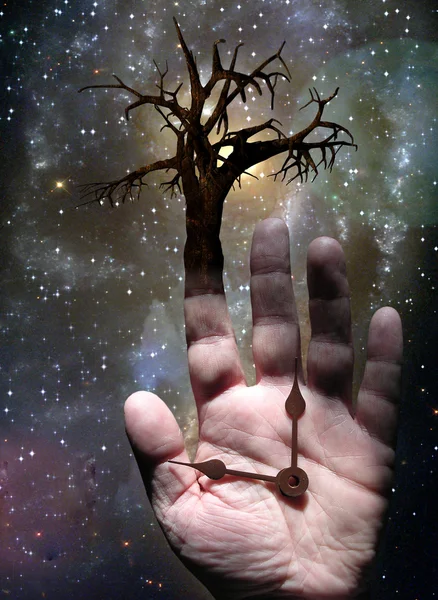 Tree with Hand — Stock Photo, Image