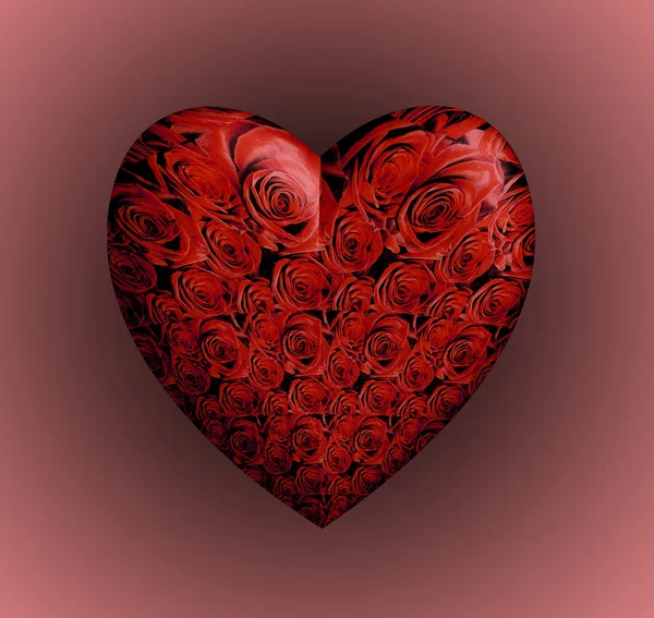 Red Roses Heart — Stock Photo, Image