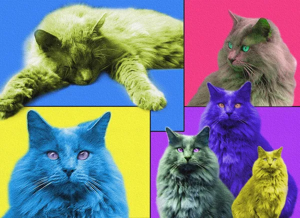 POPart Cats — Stock Photo, Image