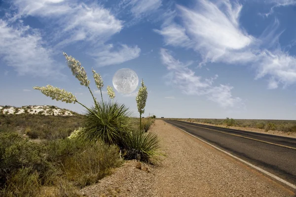 Camino del Desierto —  Fotos de Stock