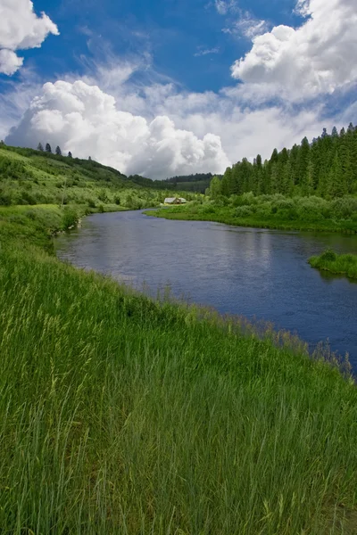 Landsbygden — Stockfoto