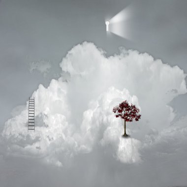 başarı gerçeküstü