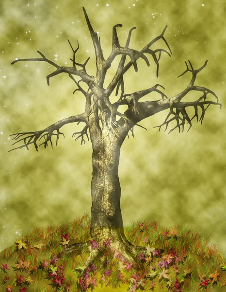 Alone Tree — Stock Photo, Image