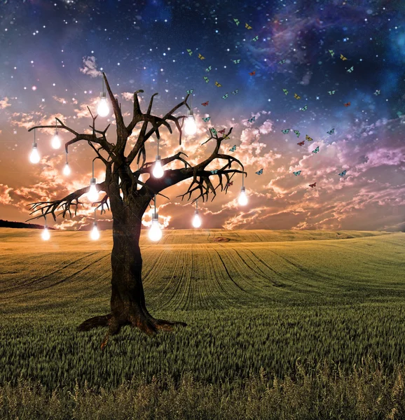 Parlayan ampul ağaç sunset — Stok fotoğraf