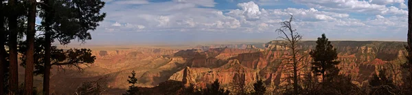 Grand Canyon EUA — Fotografia de Stock