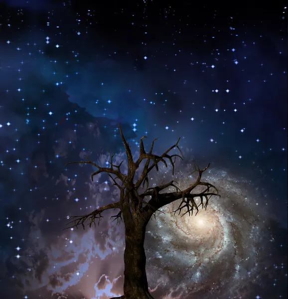 Δέντρο και αστέρια στον νυχτερινό ουρανό — Φωτογραφία Αρχείου