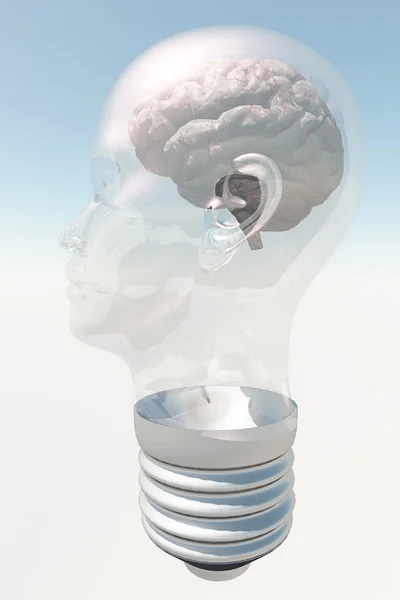 人类的大脑与人类头部的窗体中的灯泡 — 图库照片